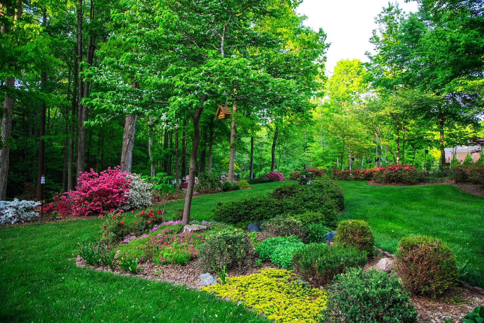 Tree Removal St. Louis Mo