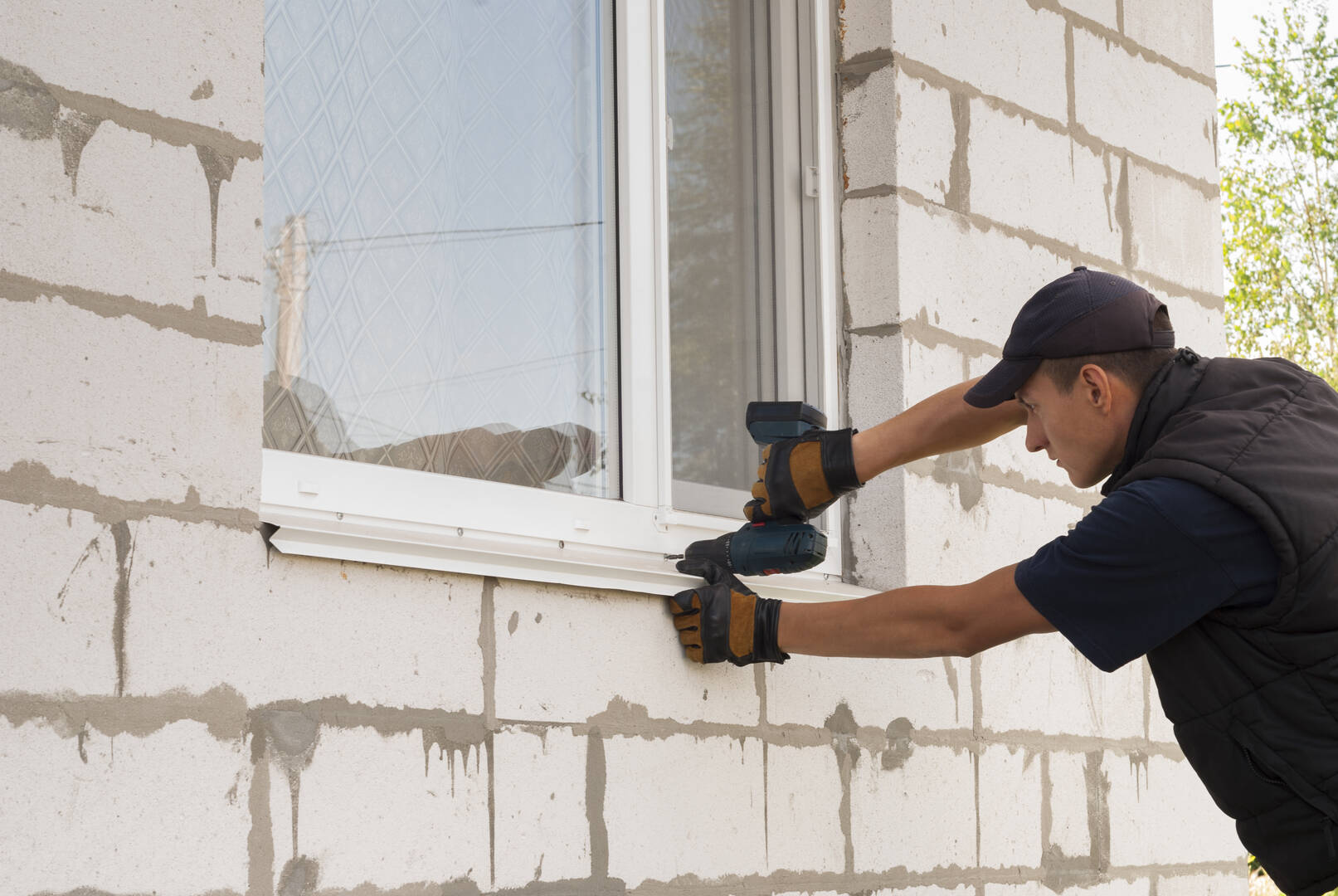 Mold Removal Company Gainesville FL